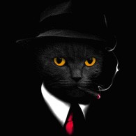 Agent Cat